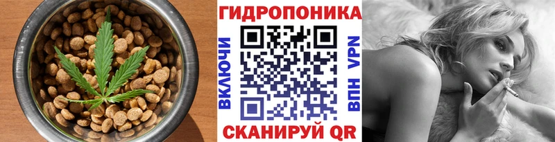 hydra маркетплейс  Болгар  Cannafood марихуана 