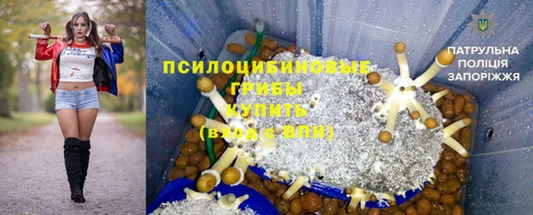 герыч Алексин