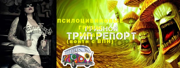 герыч Алексин