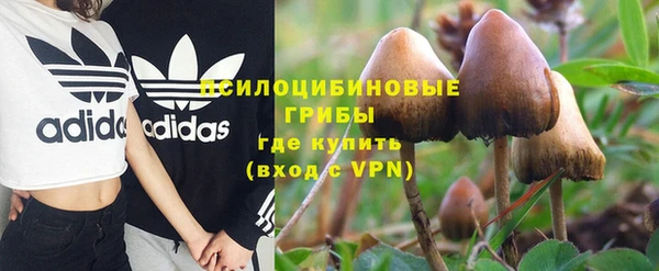 герыч Алексин
