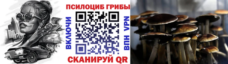 Галлюциногенные грибы MAGIC MUSHROOMS Болгар